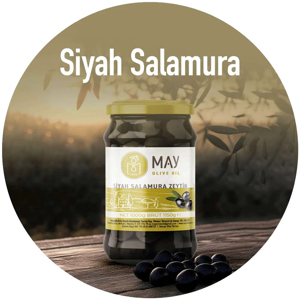 Siyah Salamura Zeytin